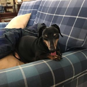 Meet your Posher, Jody